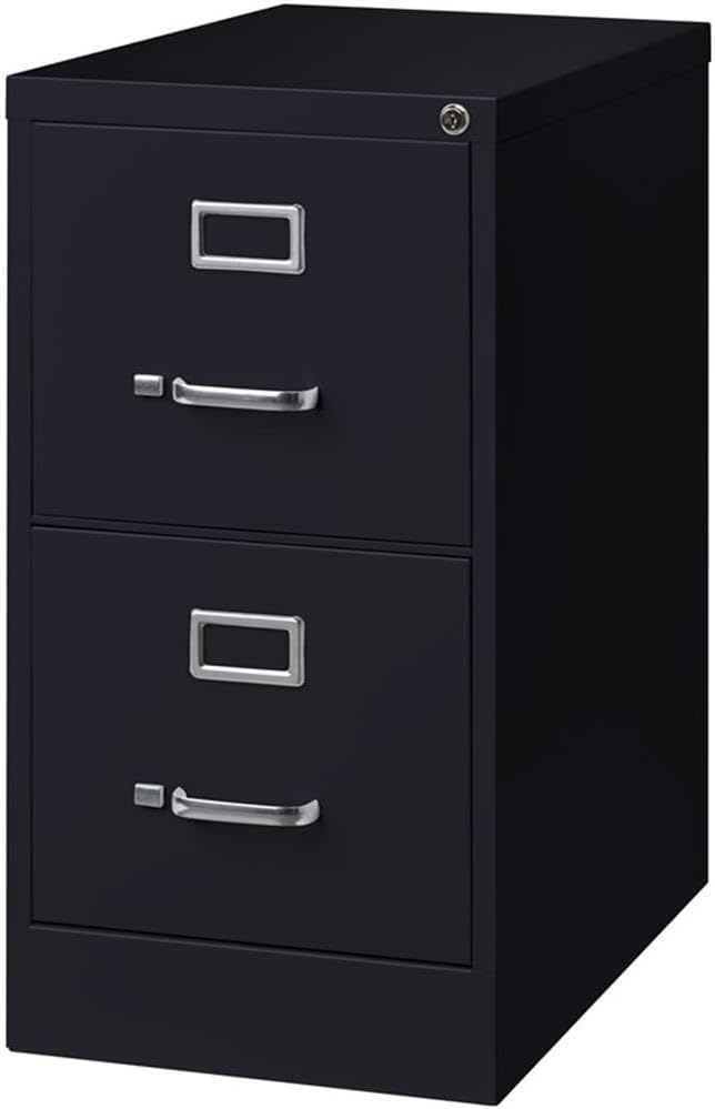 Pemberly Row 2 Drawers 28.38" Vertical Black Metal Filing Cabinet Lockable Pre-Assembled Stationary Letter Size for Home, Office