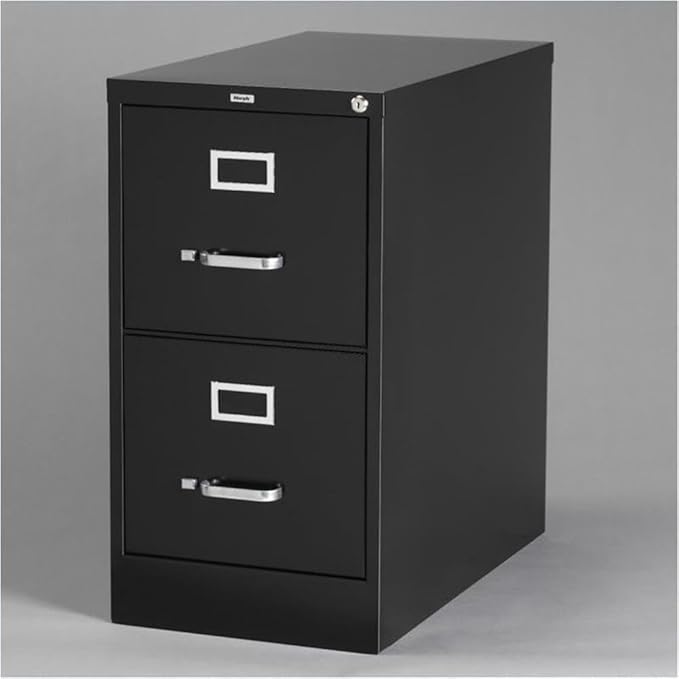 Pemberly Row 2 Drawers 28.38" Vertical Black Metal Filing Cabinet Lockable Pre-Assembled Stationary Letter Size for Home, Office