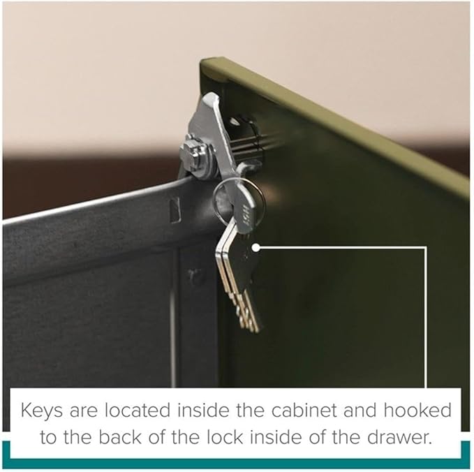 Pemberly Row 2 Drawers 28.38" Vertical Black Metal Filing Cabinet Lockable Pre-Assembled Stationary Letter Size for Home, Office