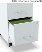 Staples 2-Drawer Vertical File Cabinet, Letter Size Documents, Lockable & Mobile, 18" D x 14" W x 26.3" H, Gray