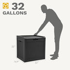 DWVO 32 Gallon Resin Storage Box, Indoor Outdoor Deck Box for Package Delivery, Patio Cushions, Gardening Tools, Lockable, Waterproof