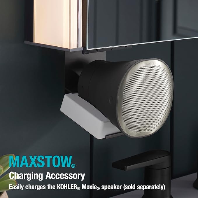 Kohler 81147-SLE-DA1 Maxstow Frameless Medicine Cabinet Mirror with Lights, LED Light, Mirror Door & Staggered Shelves, Rectangular Frame, 17 in. W x 40 in. H