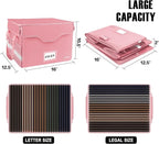 DocSafe Fireproof Document Box with Lock,File Storage Organizer with Pockets,Collapsible Portable File Box Home Office Safe Filing Cabinet with Handle for Hanging Letter/Legal Folders,Pink,2 Pack