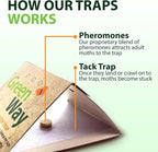 Greenway Clothing Moth Traps with Powerful Pheromone Lures for Effective, Odor-Free Closet Protection, Non-Toxic, Eco-Friendly & Long-Lasting Solution, 6 Packs (Includes 12 Traps & 12 Lures)