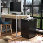 Aobabo 2 Drawer File Cabinet with Lock, Pre-Assembled Mobile Filing Cabinet Under Desk, Anti-Tilt Rolling Metal Office Storage for Letter and Legal Size, Black