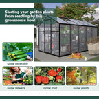 Outdoor Polycarbonate Greenhouse with Aluminum Frame, Walk-in Garden Green House Featuring Lockable Door, Adjustable Roof Vent, and UV-Protected Panels for Backyard or Patio Use (6x10 FT)
