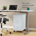 Staples 2-Drawer Vertical File Cabinet, Letter Size Documents, Lockable & Mobile, 18" D x 14" W x 26.3" H, Gray