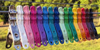 Extreme Clothespins | Distant Mountain Purple | Solid 304 Stainless Steel | 20 Pack | Heavy Duty | Mardi Gras Color | Clothes Pins | Chip Clips | Lifetime Product | No Plastic Parts | Made in Italy