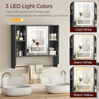 Bathroom Wall Cabinet with Mirror, Wall Mounted Medicine Cabinet with Color Adjustment LED Lights, Mirrored Over The Toilet Storage Cabinet with Adjustable Shelves, 23.6''W x 21.6''H, Black