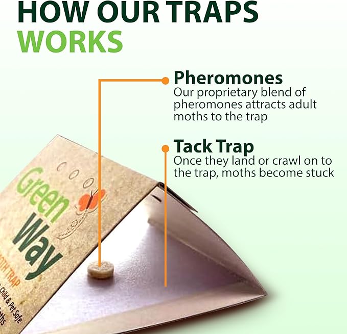 Greenway Clothing Moth Traps with Powerful Pheromone Lures for Effective, Odor-Free Closet Protection, Non-Toxic, Eco-Friendly & Long-Lasting Solution, 2 Packs (Includes 4 Traps & 4 Lures)