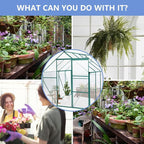 6 ft x 8 ft Aluminum Frame Greenhouse for Outdoor Use with Sloped Roof and Sliding Door for Garden Plant Protection (Green 6 * 8FT)