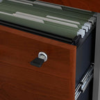 Bush Business Furniture Series C 2 Drawer Lateral File Cabinet in Hansen Cherry, Locking Document Storage for Home or Professional Office