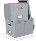 2 Pack File Storage Organizer, Filing Box, Portable File Box with Lid, Fit for Letter/Legal File Folder Storage, Document Organizer, Gray