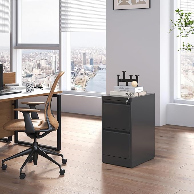 2 Drawer File Cabinet with Lock,Metal Vertical Filing Cabinets for Home Office,Heavy Duty File Storage Cabinet for Letter/Legal/A4/F4 Size File,Assembly Require (Black, Vertical 2 Drawer)