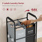 Tajsoon 2 Bag Laundry Sorter Cart, Laundry Hamper Sorter Basket with Heavy Duty Lockable Rolling Wheels for Clothes Storage, Black & Grey