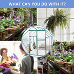 6X8FT Greenhouse for Outdoor, Polycarbonate Greenhouse with Raised Base and Anchor, Heavy-Duty Walk-in Green House with Adjustable Roof Vent and Gutter System for Patio,Backyard (Green, 6X8 FT)