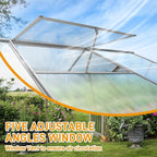 Vasitelan 6 x 10 FT Outdoor Greenhouse, Polycarbonate Greenhouse with Aluminum Frame for Backyard, Green Houses for Outside Garden Backyard, Patio (Silver)