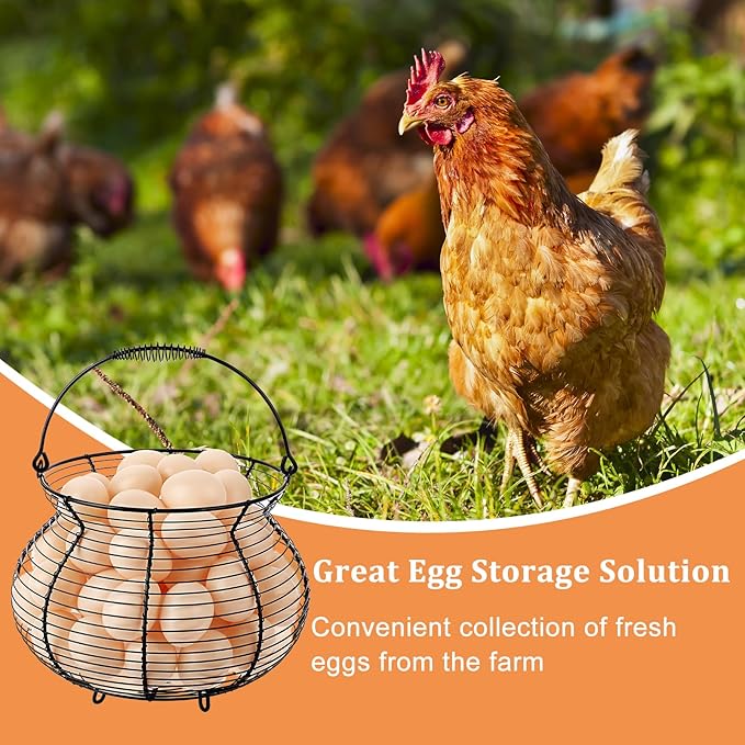1 PCS Black Big Belly Wire Egg Baskets for Fresh Egg With Handle, Small Metal Wire Basket for Gathering Fresh Chicken and Duck Eggs, Hunting Basket Egg Holder Countertop