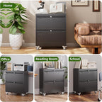 Aobabo 2 Drawer Lateral File Cabinet with 4 Detachable Wheels,Steel Filing Storage with Independent Locks and Index Card Holders for Home Office, 15.87" D x 28.94" W x 34" H, Black,Required Assembly
