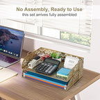 EasyPAG Paper Organizer for Desk 2 Tier Stackable Paper Tray for A4 Legal Size Folders Metal File Storage Desktop Organizer for Home Office School Teacher, Gold