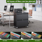 Aobabo 2 Drawer Lateral File Cabinet with 4 Detachable Wheels,Steel Filing Storage with Independent Locks and Index Card Holders for Home Office, 15.87" D x 28.94" W x 34" H, Black,Required Assembly