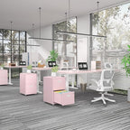 2 Drawer File Cabinet with Lock，Pink Rolling File Cabinet for Home Office, Metal Small Mobile Filing Cabinets on Wheels for Hanging Letter