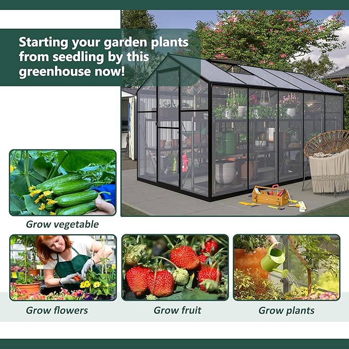 Large Walk-in Clear Polycarbonate Greenhouse with Rain Gutters & Adjustable Roof Vent - Sturdy Aluminum Frame Outdoor Plant House for Vegetable, Flower & Garden Growth-Outbuilding (6x10 ft)