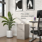 STAPLES Vertical File Cabinet for Letter/Legal Files, 2-Drawer, Letter/Legal Compatible, Locking, Putty